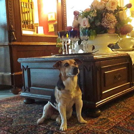 B&B Silvana Travedona Eksteriør billede